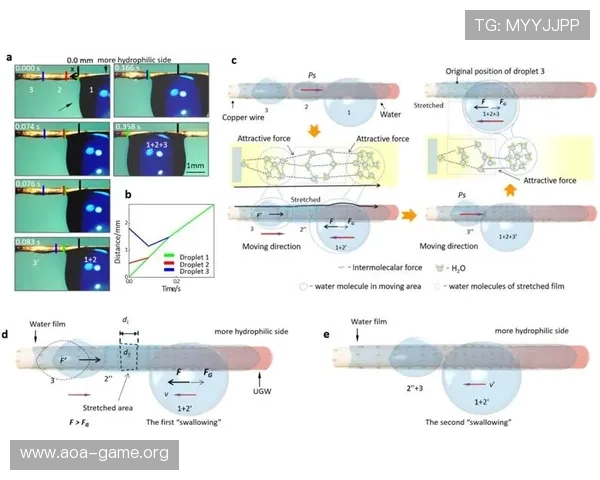 巴萨进球转化率巨变或揭示胜负概率模型中潜藏关键新的重要信号